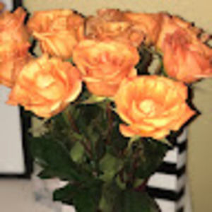 Meet your Posher, Faith